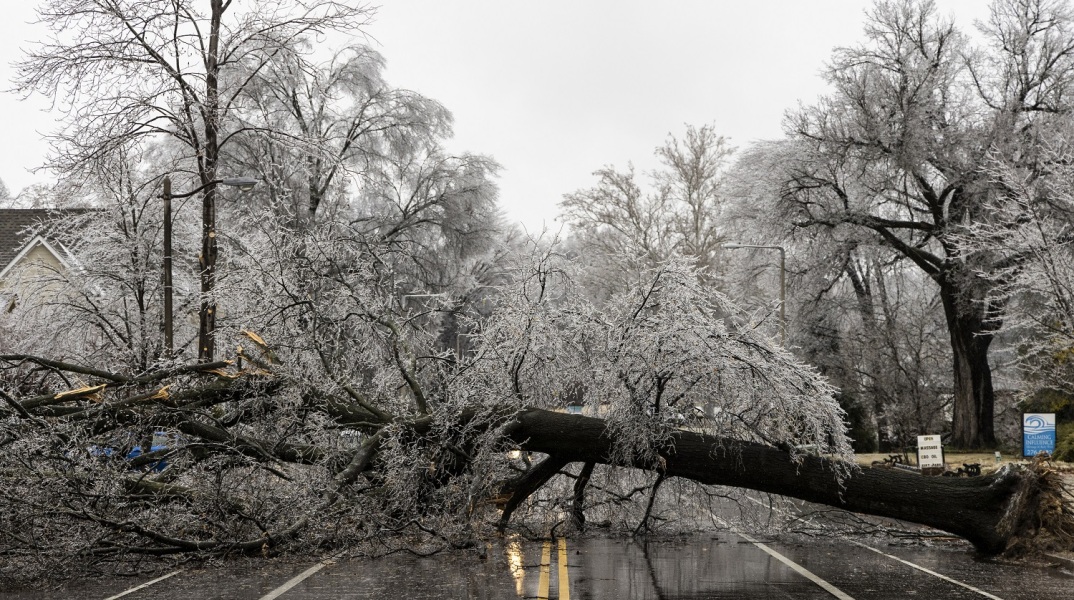 Κορμός δέντρου που έχει πέσει κι έχει κλείσει δρόμο στο Μέμφις των ΗΠΑ