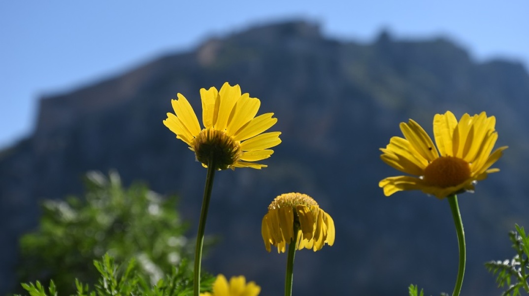 Καιρός - Μαρουσάκης: Έρχεται ανοιξιάτικο Σαββατοκύριακο