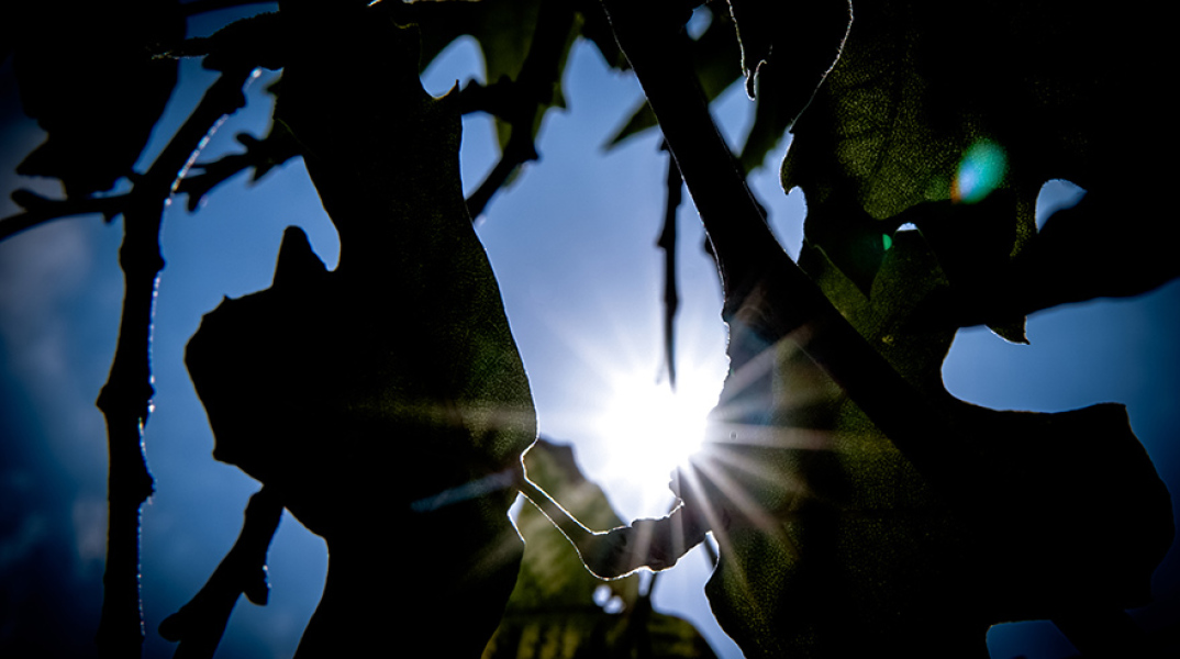 Η πρόγνωση του καιρού για σήμερα Παρασκευή (18/02)