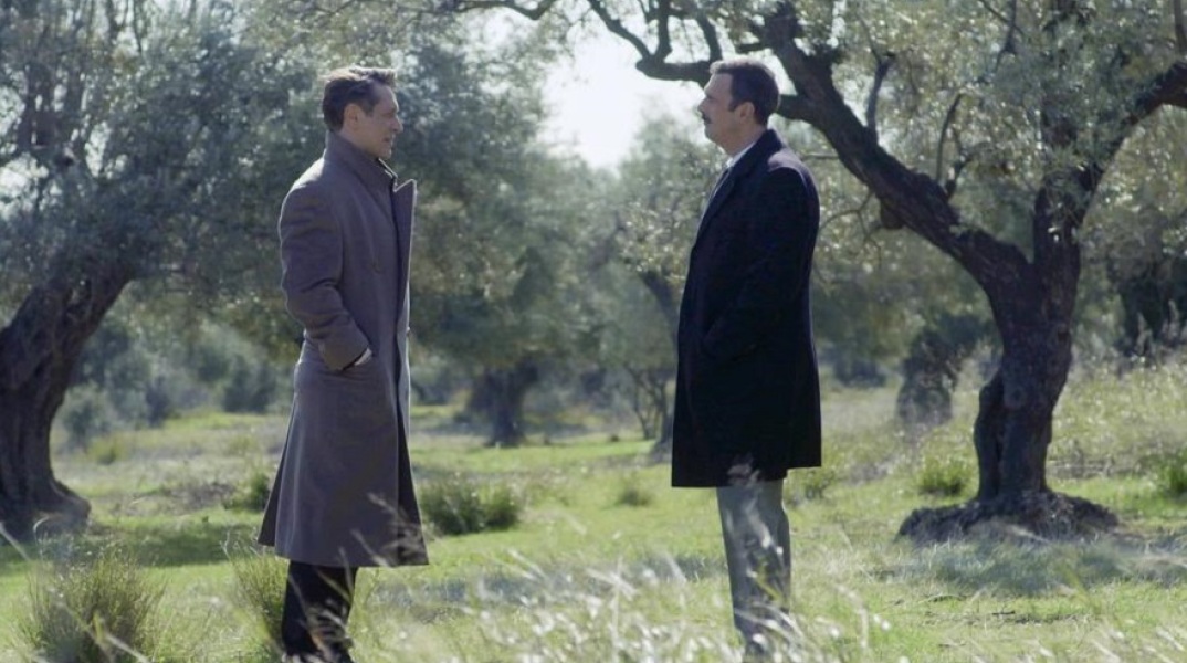 Άγριες Μέλισσες