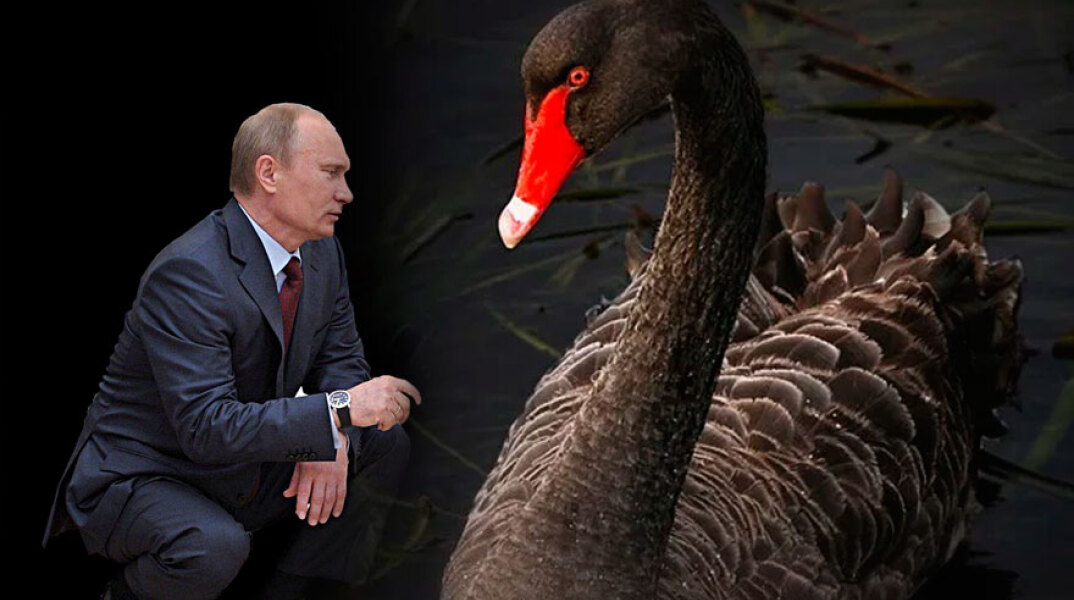 Βλαντίμιρ Πούτιν και Μαύρος Κύκνος