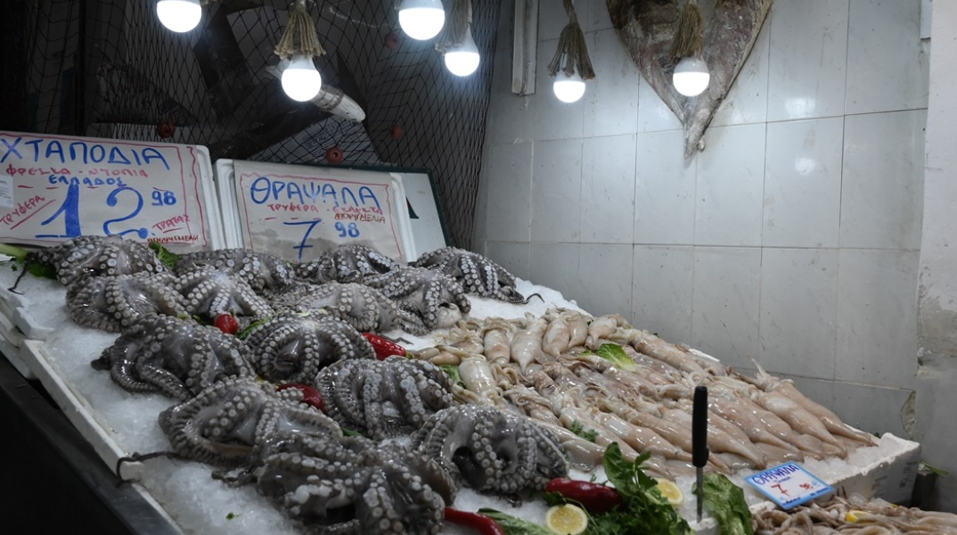 Καθαρά Δευτέρα: Χταπόδια και καλαμάρια εκτίθενται σε ιχθυοπωλείο