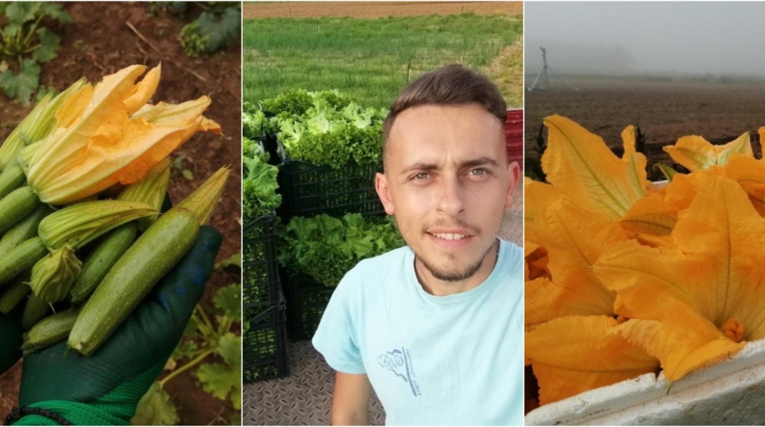 Κολοκυθοανθός