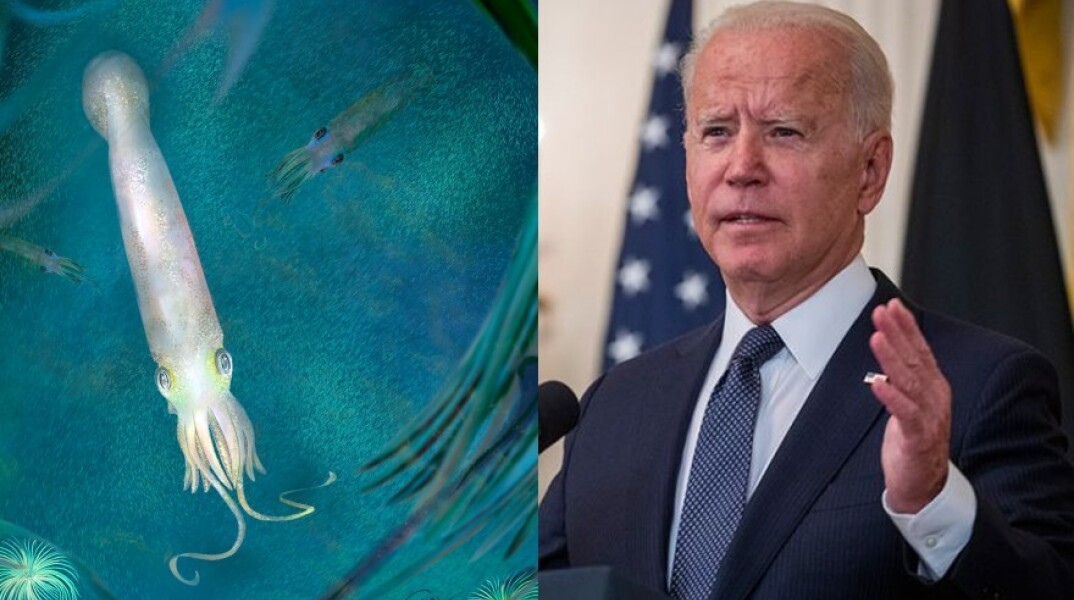 biden.jpg