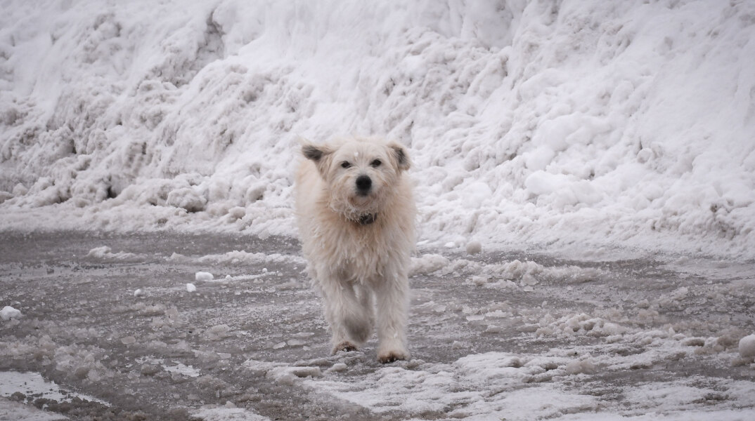 Χιόνια στην Αθήνα φέρνει η κακοκαιρία «Φίλιππος»