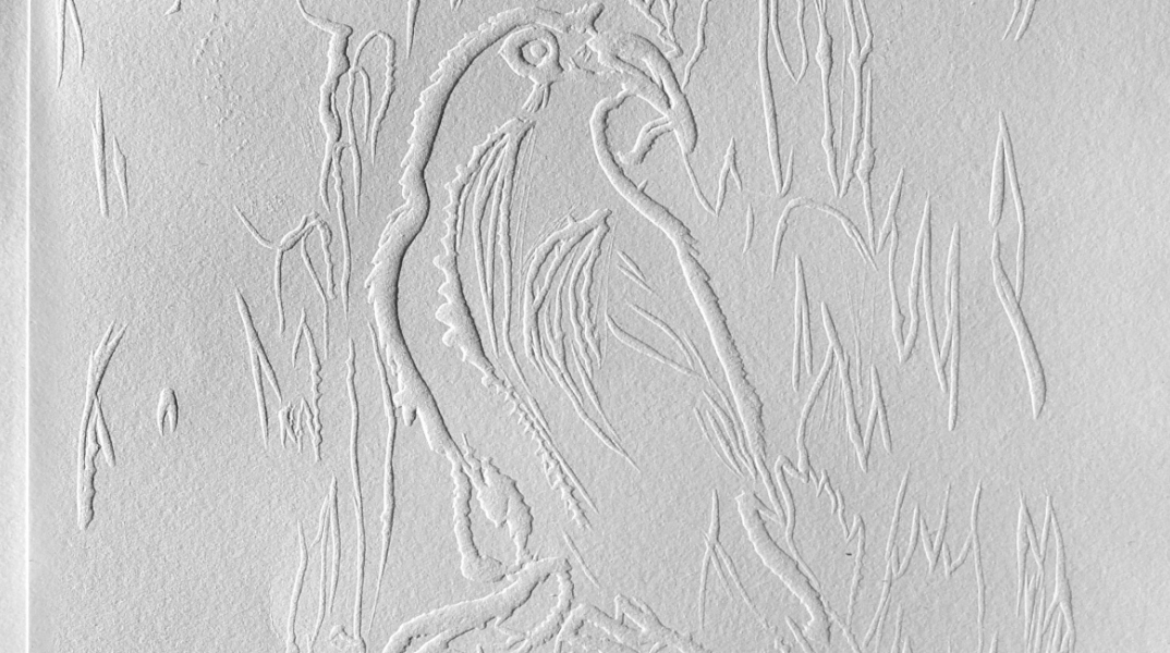 Κατερίνα Ζαχαροπούλου, "Όταν ο κόραξ λευκανθεί" (2020-22), λεπτομέρεια