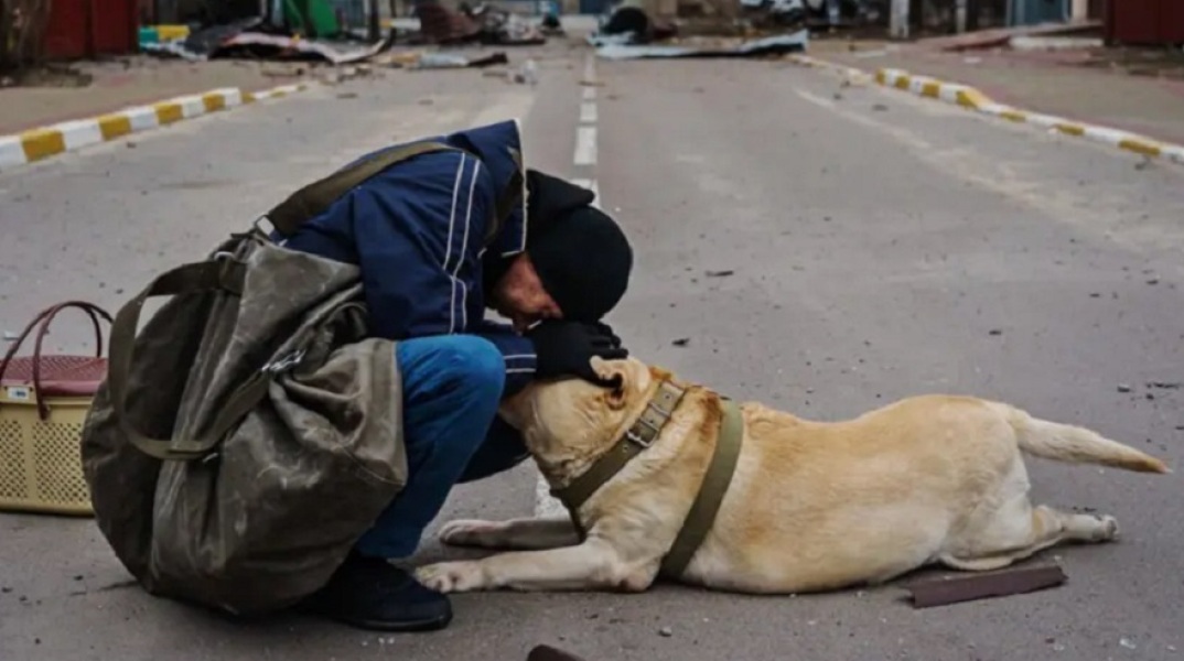 Άνδρας προσπαθεί να βοηθήσει τον παραλυμένο από τον τρόμο σκύλο του