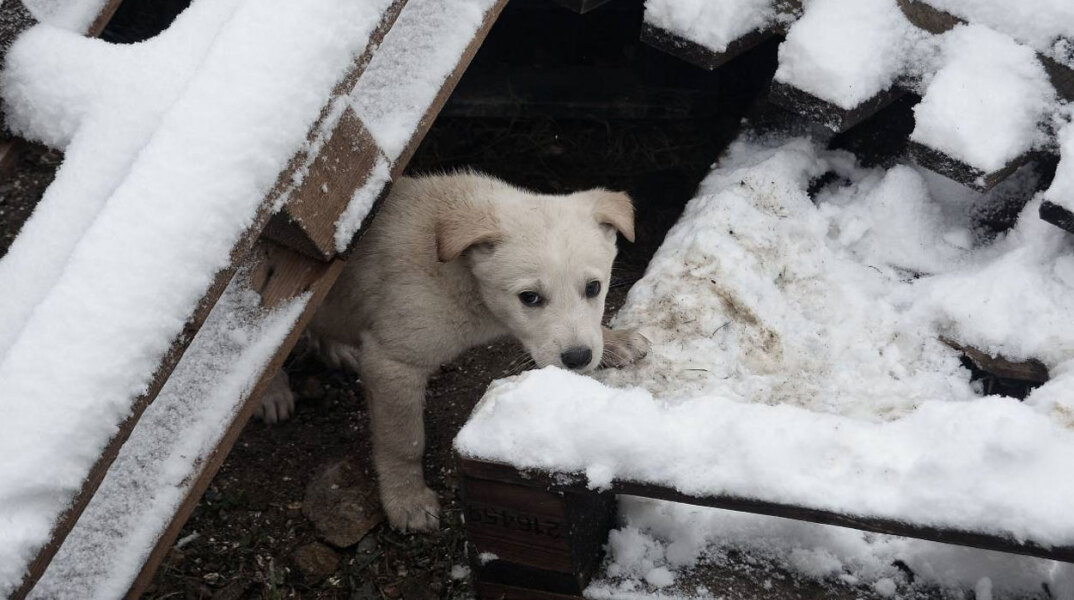 Χιόνια στην Αττική
