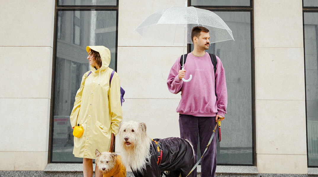 Ένας άντρας και μια γυναίκα με τα σκυλιά τους στη βροχή