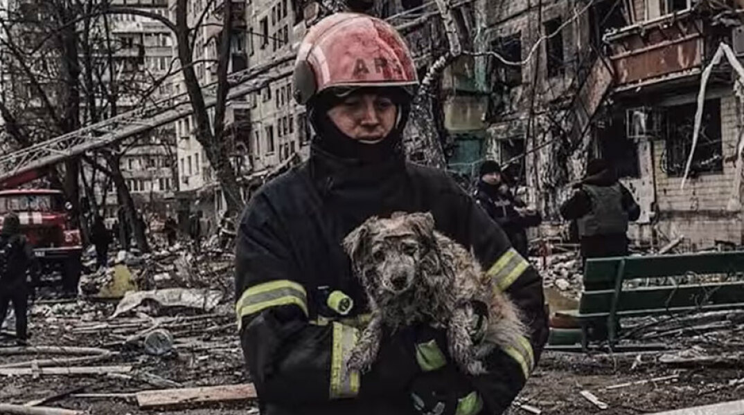 Διασώστης απομακρύνει σκύλο από βομβαρδισμένο κτίριο στην Ουκρανία