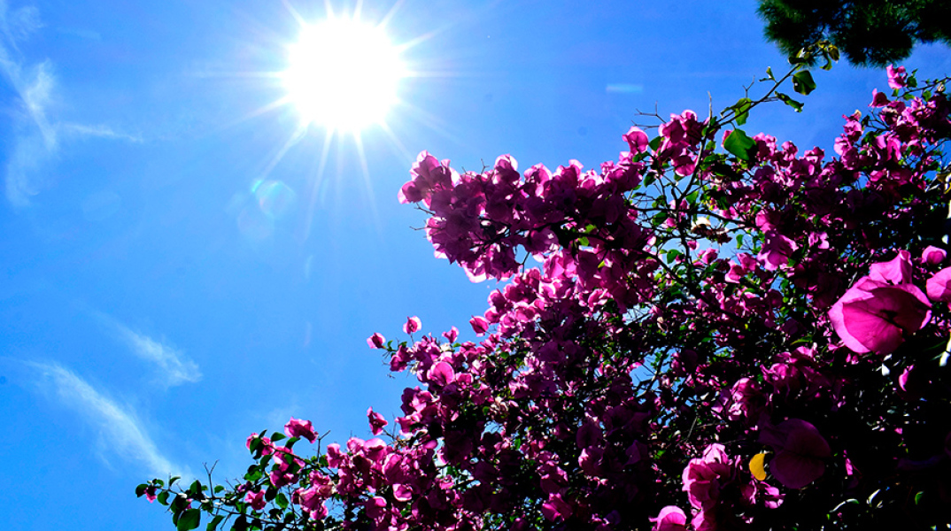Καλός ο καιρός αύριο Πέμπτη (24/03)