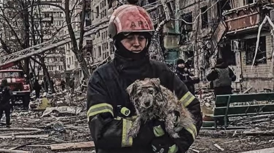 Διασώστης απομακρύνει σκύλο από βομβαρδισμένο κτίριο στην Ουκρανία © Володимир Зеленський/Facebook