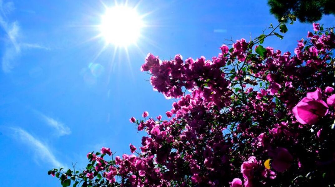 Καιρός: Υψηλές θερμοκρασίες το Σάββατο σε όλη τη χώρα