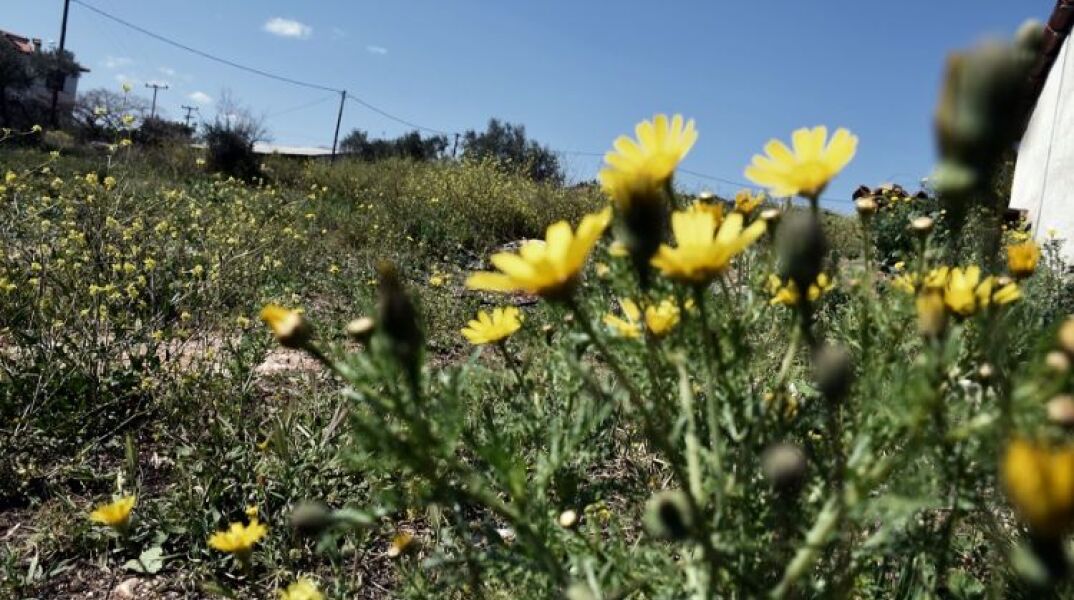 Αίθριος καιρός