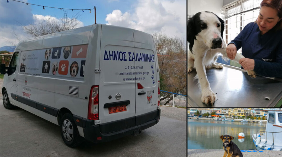 Το ασθενοφόρο για τα αδέσποτα ζώα συντροφιάς στη Σαλαμίνα
