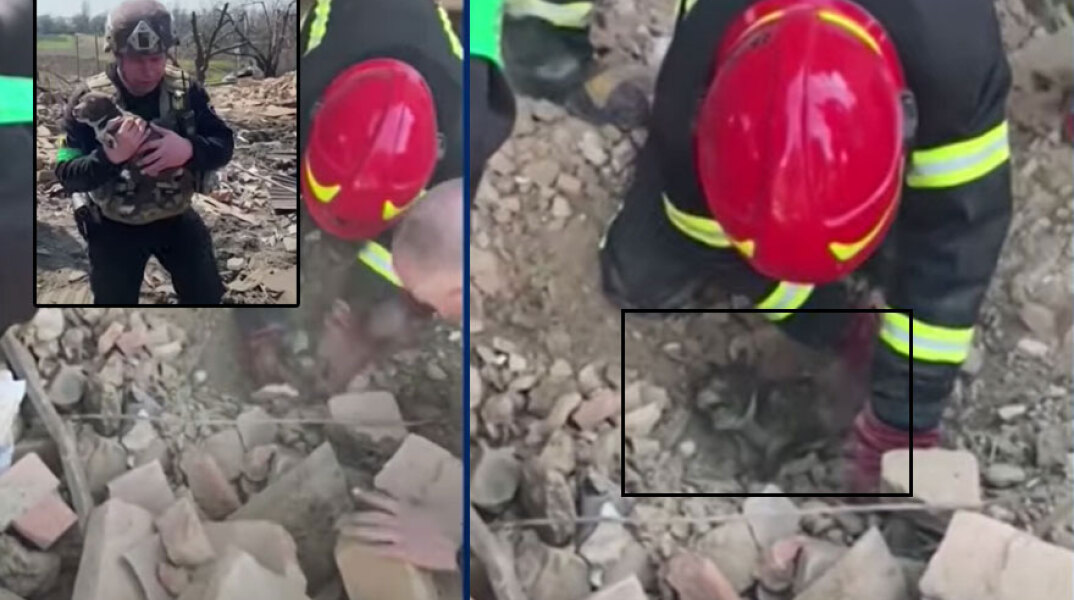 Σκυλάκι ανασύρεται ζωντανό από γκρεμισμένο κτίριο στο Ντόνετσκ μετά τον ρωσικό βομβαρδισμό