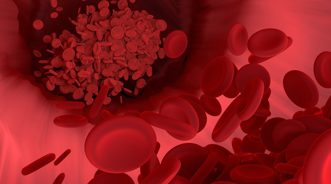 ερυθροκύτταρα ή ερυθρά αιμοσφαίρια