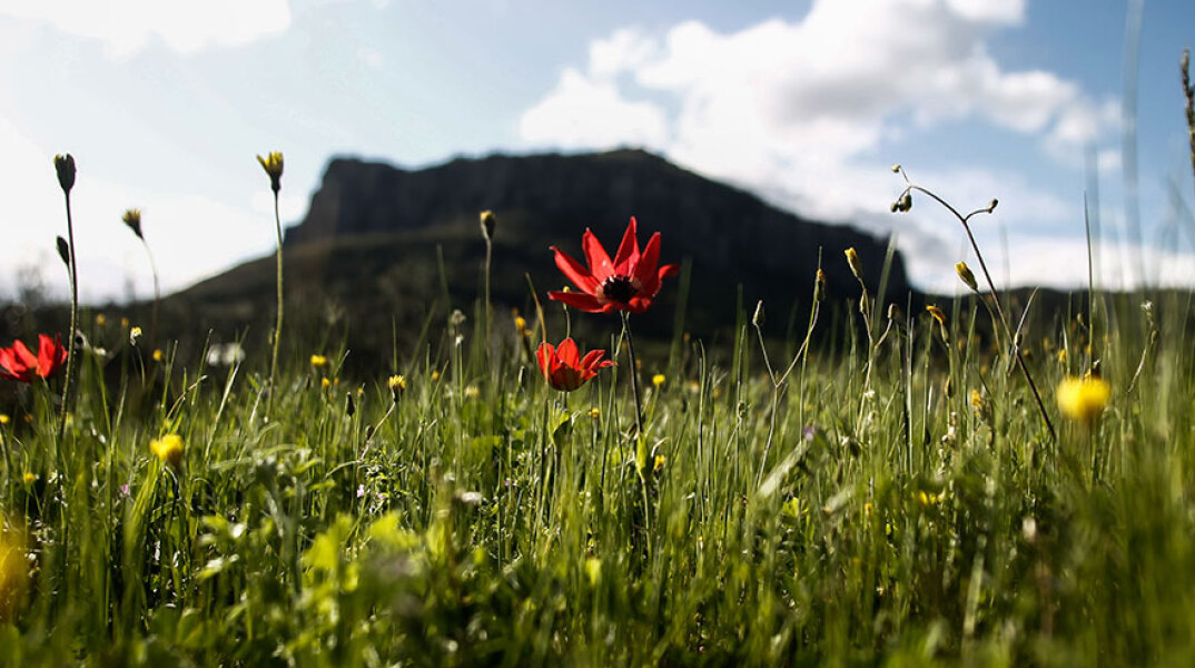 Αίθριος ο καιρός σήμερα Πέμπτη 14 Απριλίου 2022, σύμφωνα με την ΕΜΥ