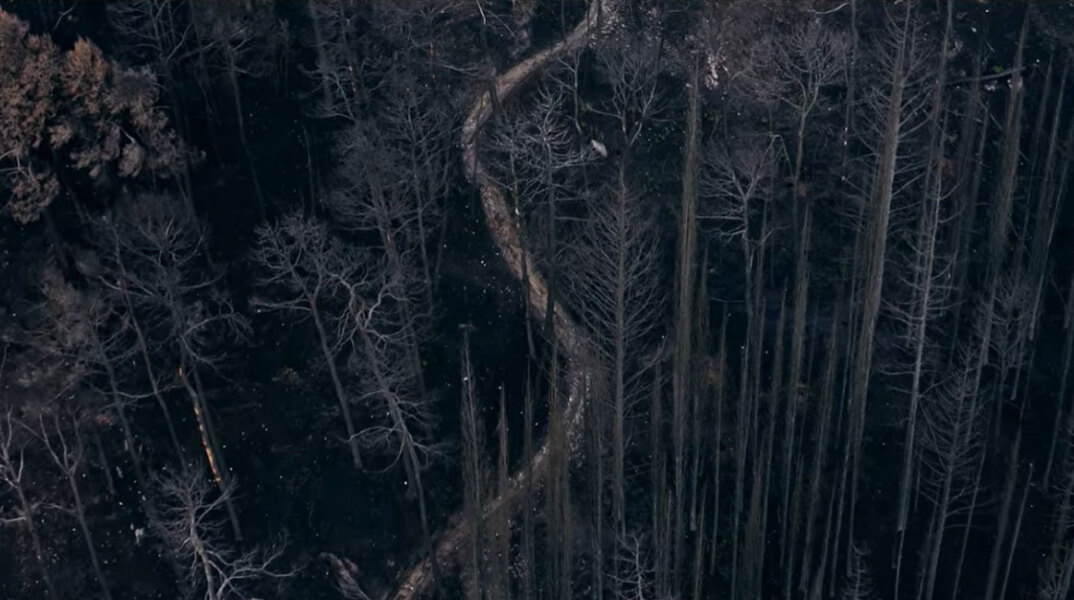 Καμένο δάσος Βαρυμπόμπης