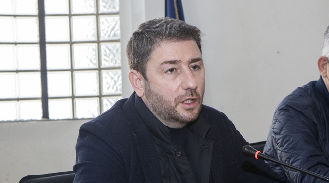 Ο πρόεδρος του ΠΑΣΟΚ - ΚΙΝΑΛ, Νίκος Ανδρουλάκης