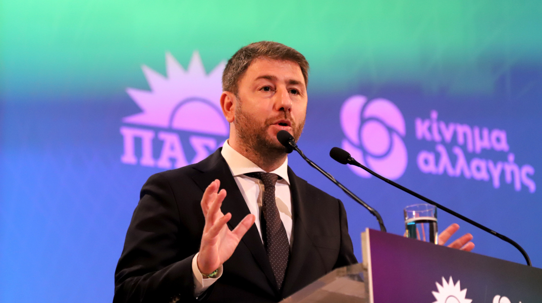 Νίκος Ανδρουλάκης, ομιλία