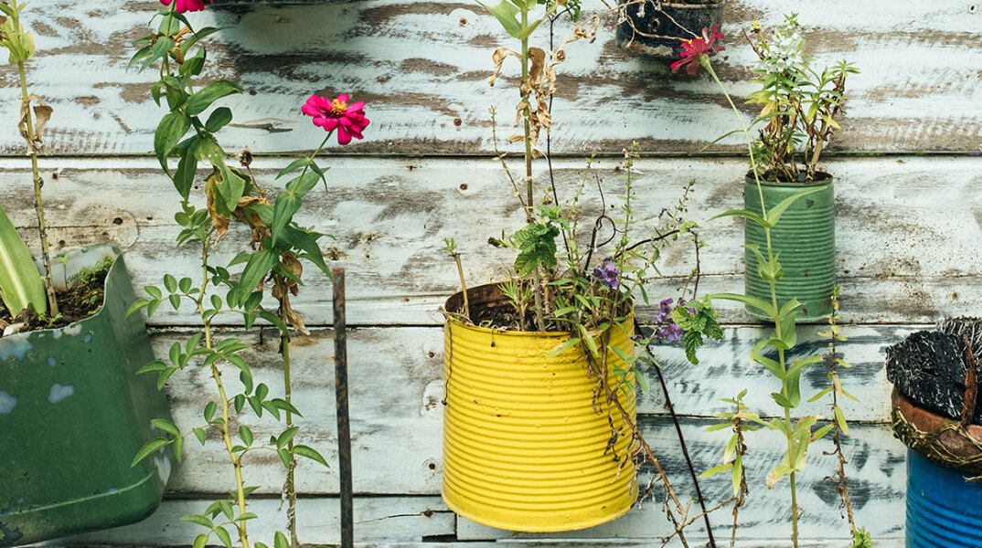 Γλάστρες από πλαστικούς και σιδερένιους κουβάδες