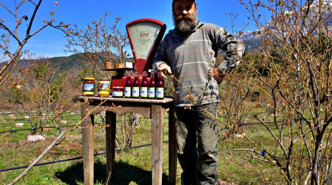 Blueberry Farm: Τα καταπληκτικά μύρτιλα από τα Τζουμέρκα