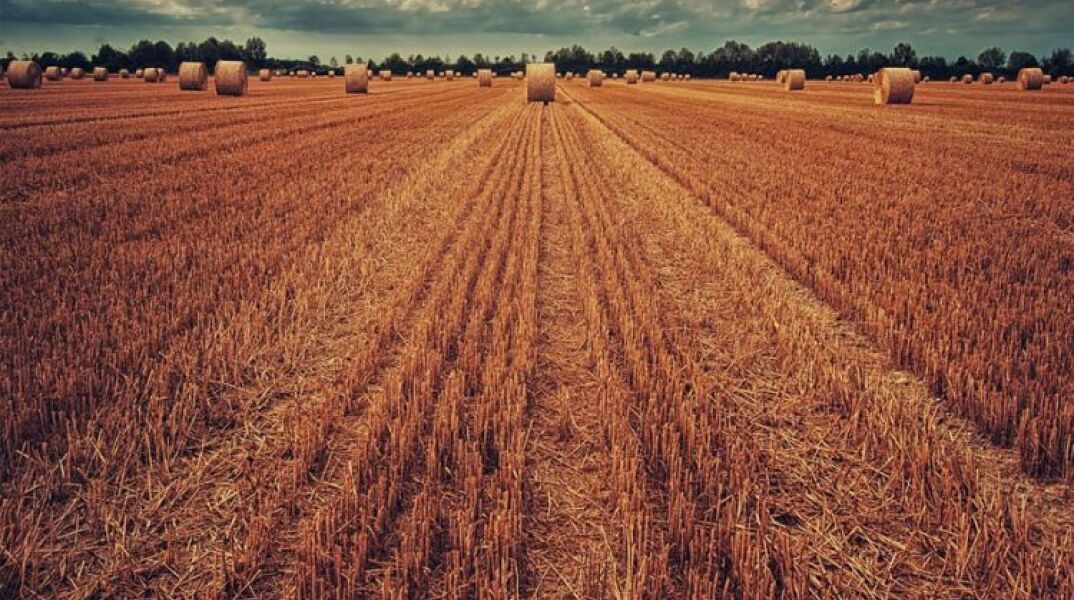 Η Ουκρανία εξήγαγε 1.000.000 τόνους σιτηρών τον Απρίλιο σε πείσμα του πολέμου	