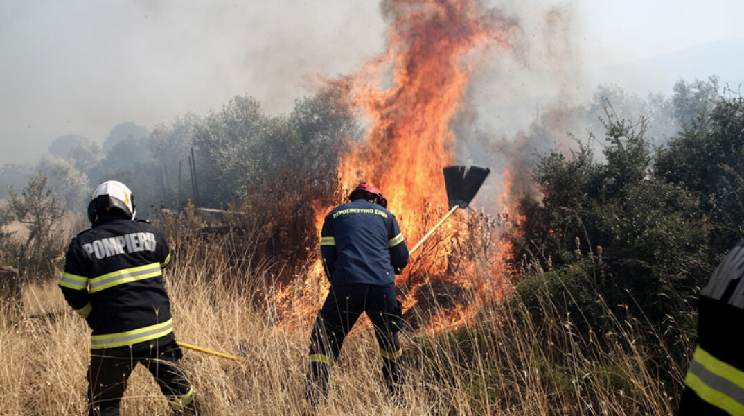 Μάχη με τις φλόγες έδωσαν πυροσβέστες στη Σαλαμίνα για να θέσουν υπό έλεγχο τη φωτιά