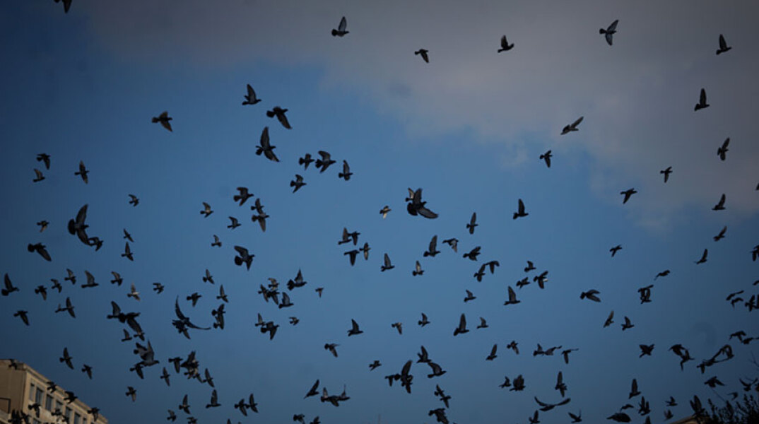 Το τριήμερο του Αγίου Πνεύματος 2022 είναι ένα από τα τέσσερα που απομένουν μέχρι να φύγει η χρονιά