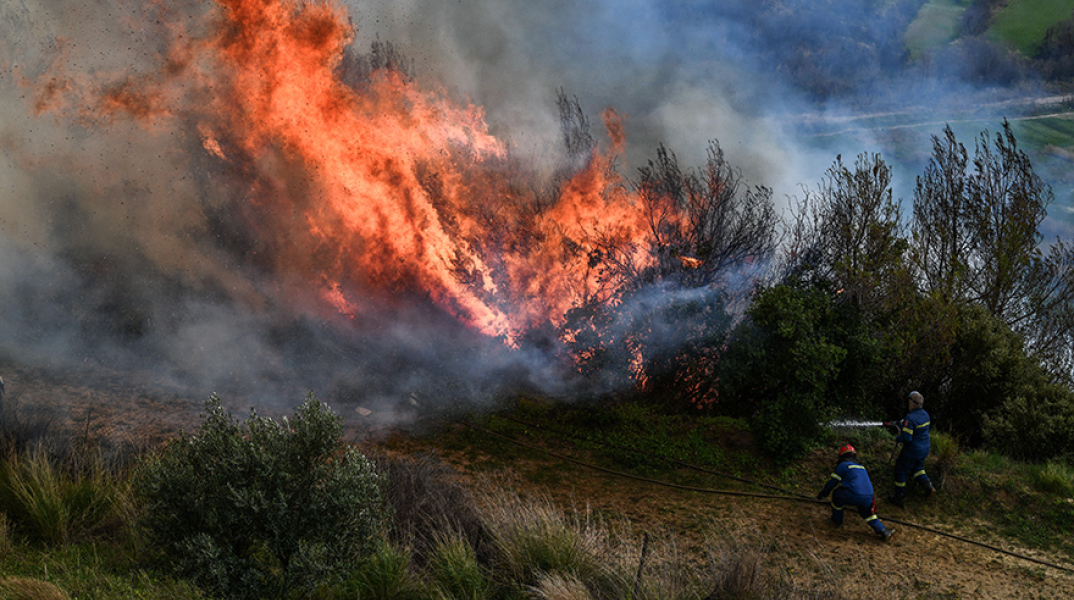 Φωτιά σε δασική έκταση (Φωτογραφία αρχείου)