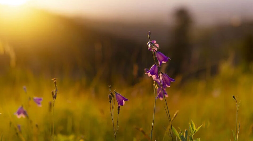 Ο καιρός σήμερα Τρίτη 17 Μαΐου 2022 αναμένεται γενικά αίθριος, σύμφωνα με την ΕΜΥ
