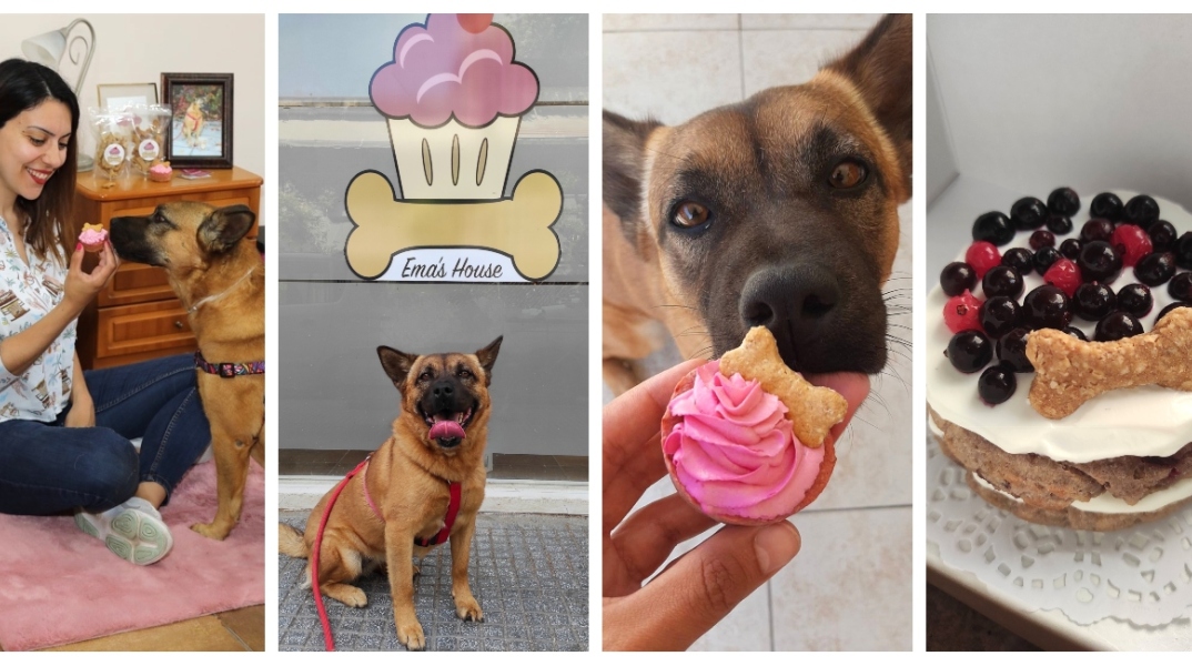 Η Ειρήνη, η Ema και οι σκυλολιχουδιές