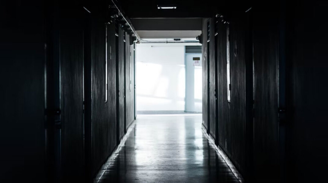 Η ευλογιά των πιθήκων εξαπλώνεται στην Ισπανία