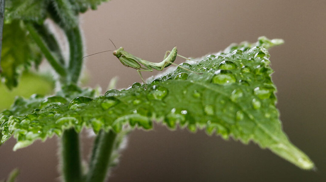 Λιγότερες βροχές έχει ο καιρός αύριο Κυριακή (12/6)