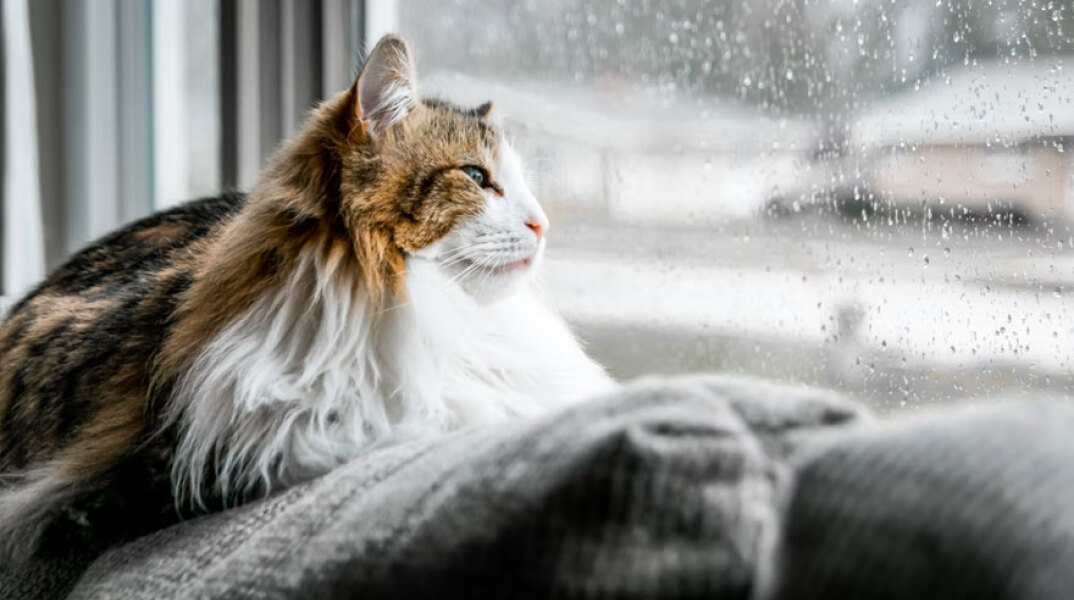 Βροχερός ο καιρός αύριο Τετάρτη (15/6), σύμφωνα με την πρόγνωση του meteo