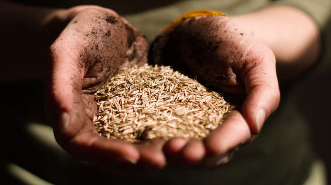 Ο πόλεμος στην Ουκρανία πυροδοτεί παγκόσμια επισιτιστική κρίση