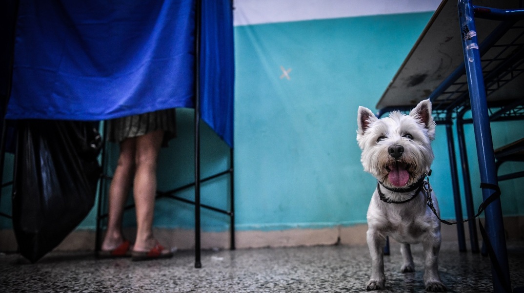 Σκύλος σε εκλογικό κέντρο στο οποίο ψηφοφόρος βρίσκεται μέσα σε παραβάν