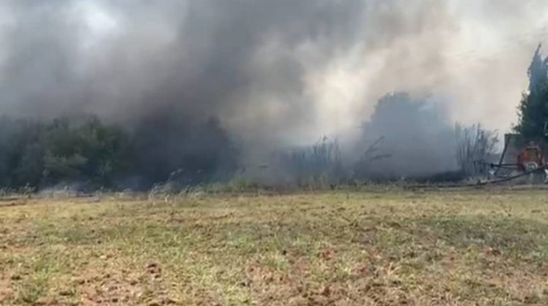 Φωτιά σε δασική έκταση στον Βόλο