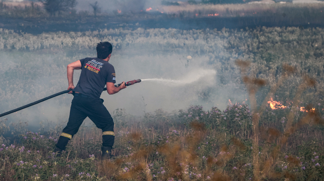 pyrosvestis floges pyrkagia