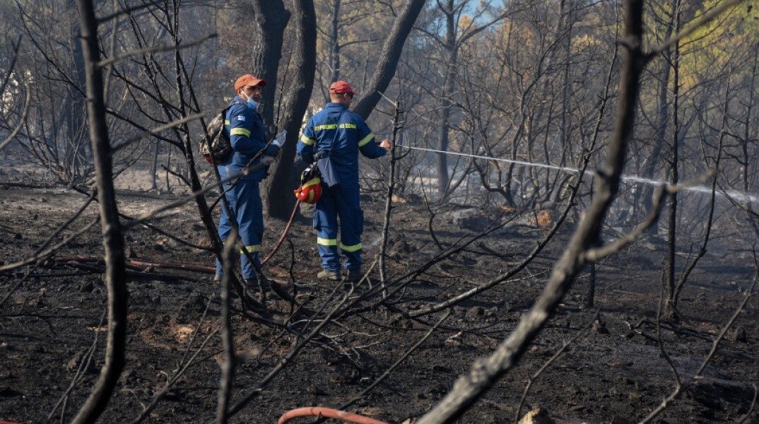 Φωτιά στη Ζήρια: Οι πρώτες εικόνες από τα καμμένα (εικόνες)