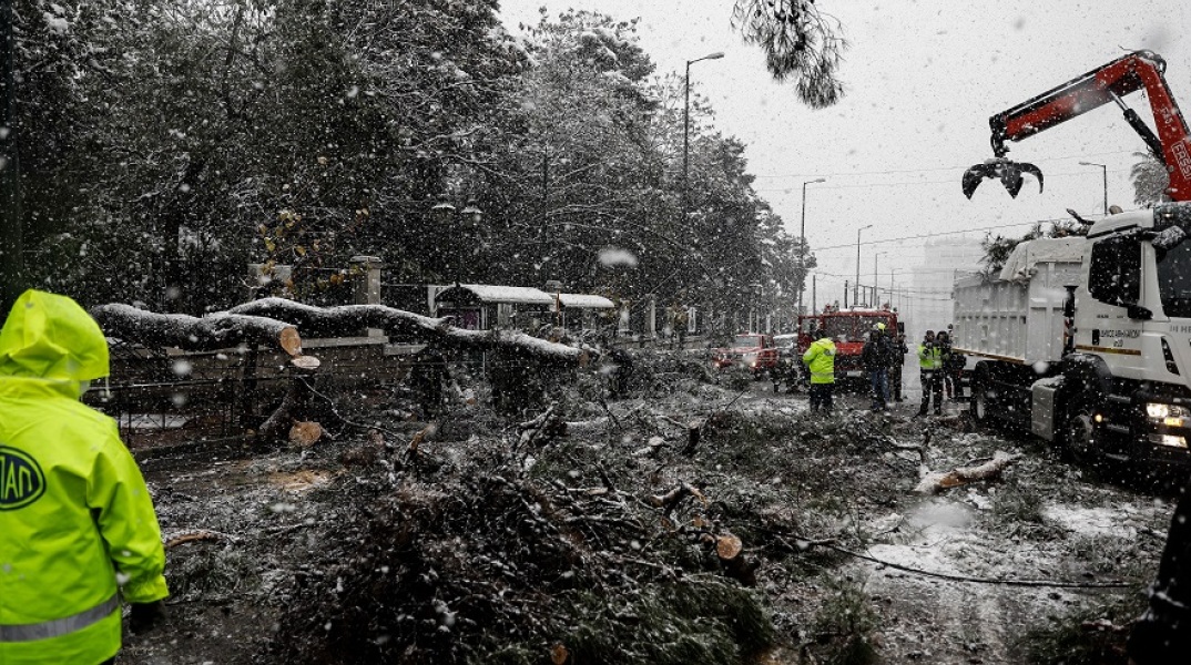 Πτώση δέντρου στη Βασιλίσσης Σοφίας