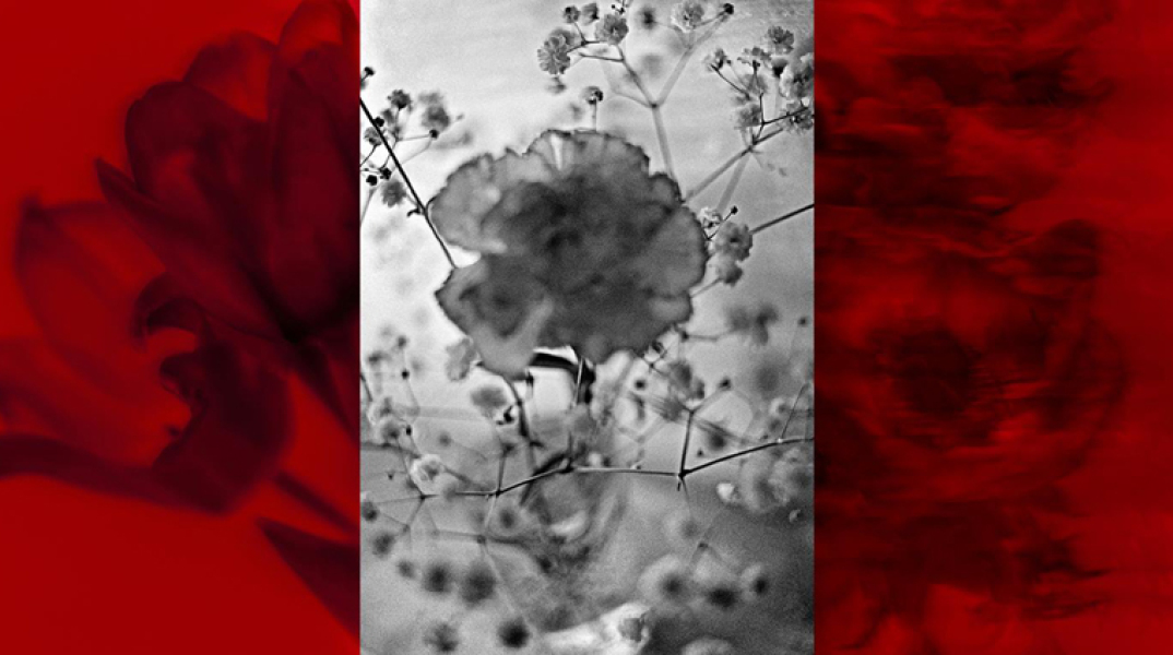 Αγγελική Δεκουλάκου, Χρωμογραφία IIΙ