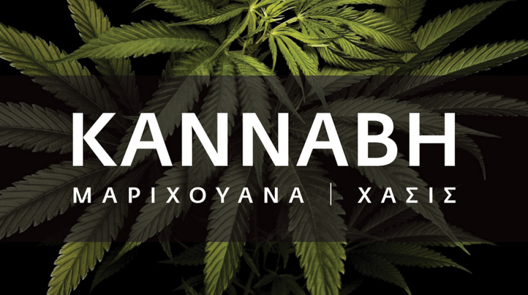 Κλεάνθης Γρίβας, Κάνναβη. Μαριχουάνα | Χασίς