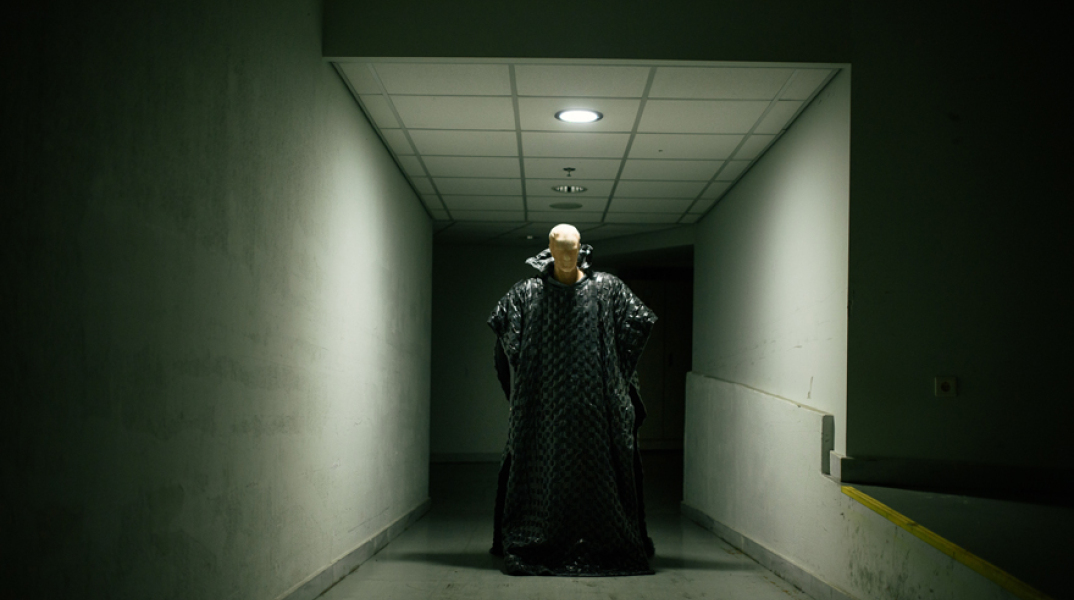 Δαμιανός Ζαρίφης, Ο παλμός του σχεδίου