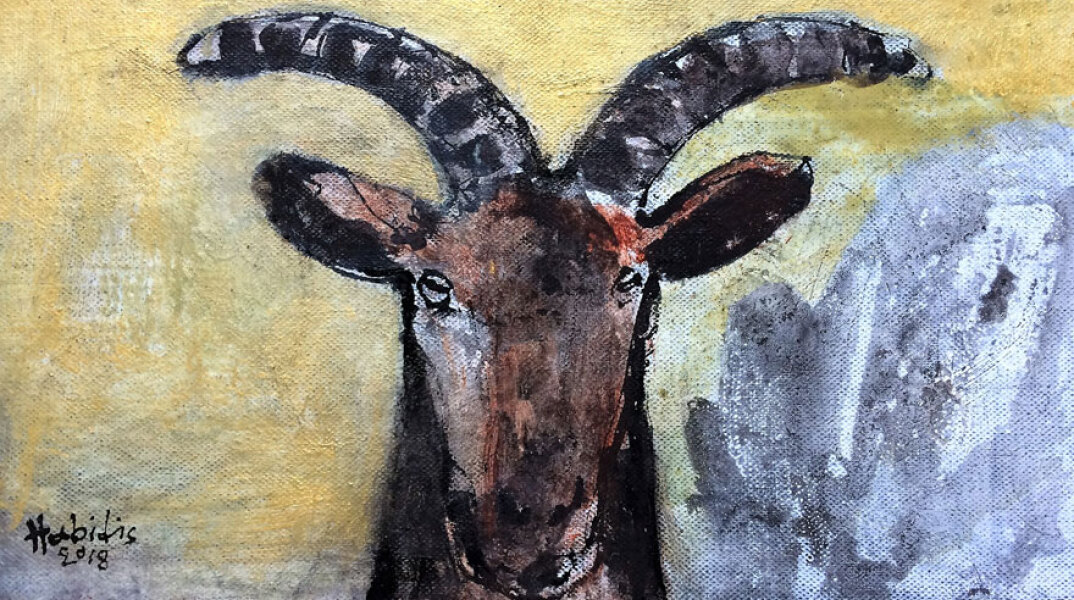 Πάβλος Χαμπίδης, Τραγιά