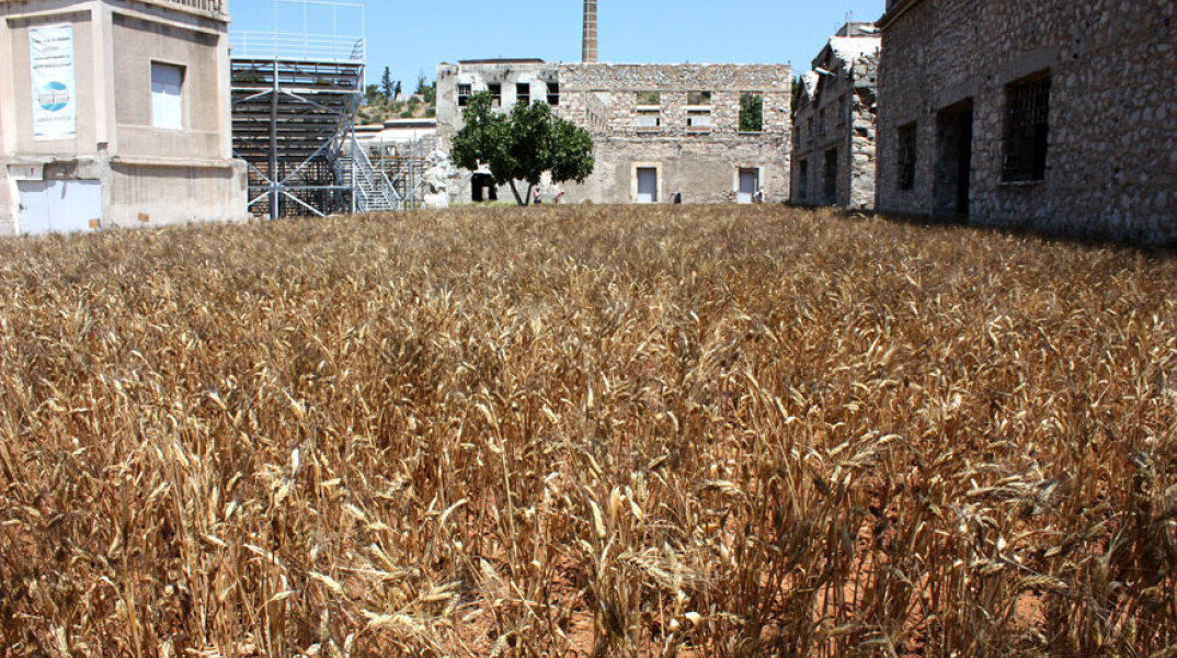 The artist on the composer