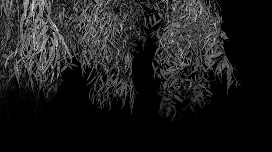 Έφη Χαλιoρή, Into The Dark