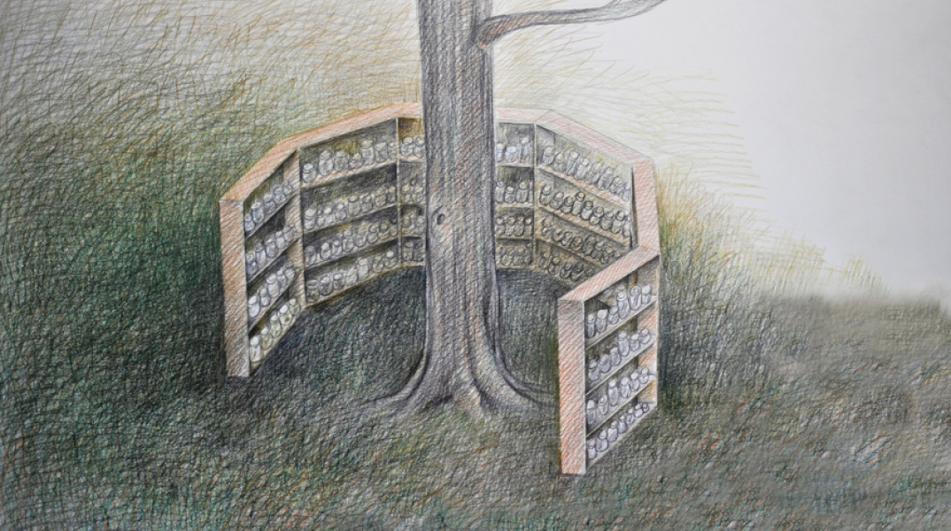 Libraries as Gardens: Libraries of Walks