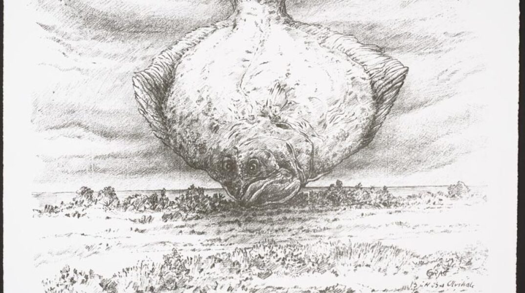 Τελικά γράφω ή σχεδιάζω; Έκθεση χαρακτικών του Günter Grass